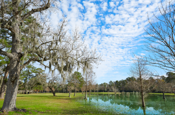 home care tomball tx