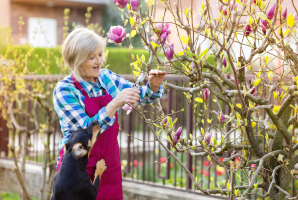 24 hour in home care magnolia tx